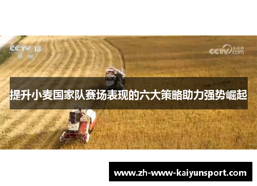 提升小麦国家队赛场表现的六大策略助力强势崛起 提升小麦国家队赛场表现的六大策略助力强势崛起