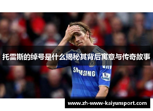 托雷斯的绰号是什么揭秘其背后寓意与传奇故事