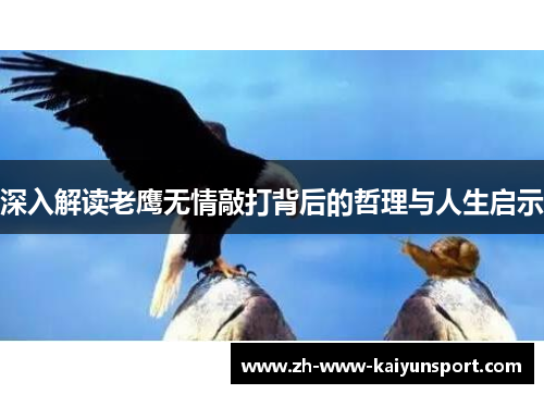 深入解读老鹰无情敲打背后的哲理与人生启示 深入解读老鹰无情敲打背后的哲理与人生启示
